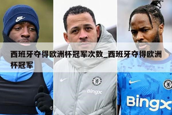 西班牙夺得欧洲杯冠军次数_西班牙夺得欧洲杯冠军