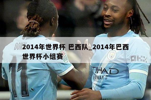 2014年世界杯 巴西队_2014年巴西世界杯小组赛