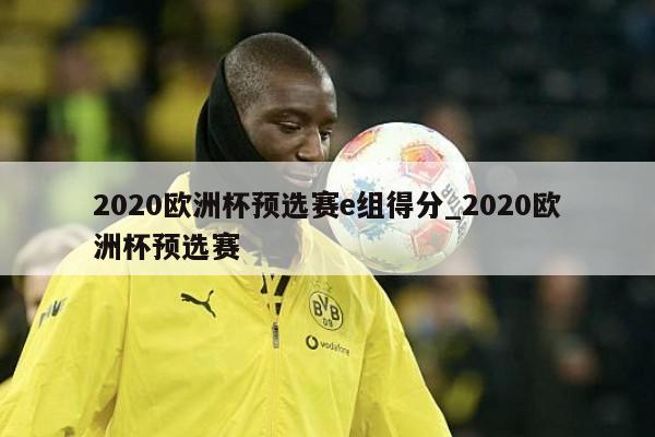 2020欧洲杯预选赛e组得分_2020欧洲杯预选赛