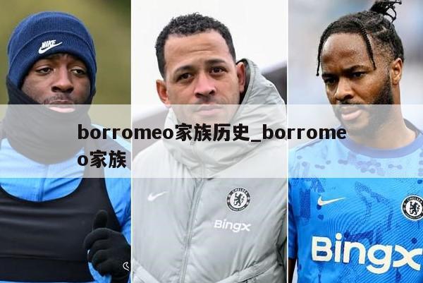 borromeo家族历史_borromeo家族