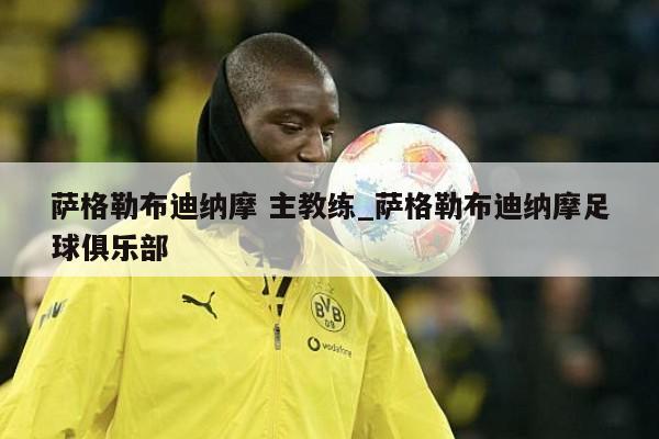 萨格勒布迪纳摩 主教练_萨格勒布迪纳摩足球俱乐部