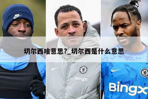 切尔西啥意思?_切尔西是什么意思