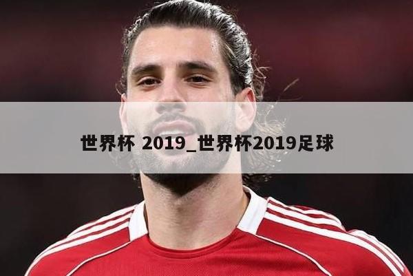 世界杯 2019_世界杯2019足球