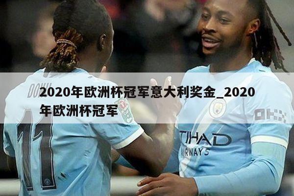 2020年欧洲杯冠军意大利奖金_2020年欧洲杯冠军