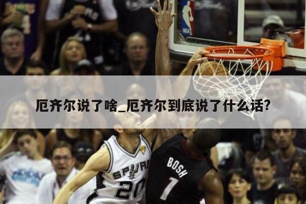 厄齐尔说了啥_厄齐尔到底说了什么话?