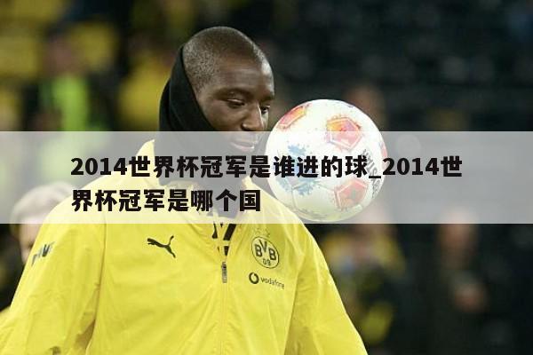 2014世界杯冠军是谁进的球_2014世界杯冠军是哪个国